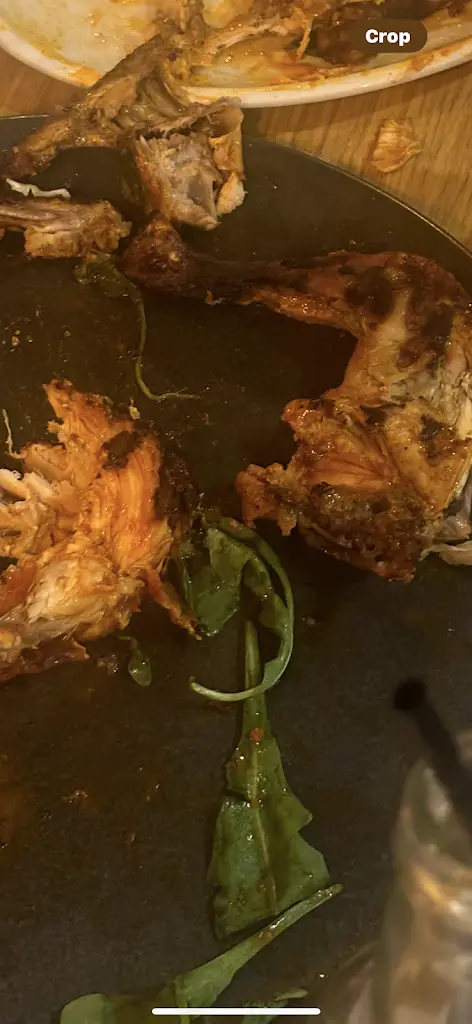 Ari i_Howdy! Pudsey_Pudsey_review