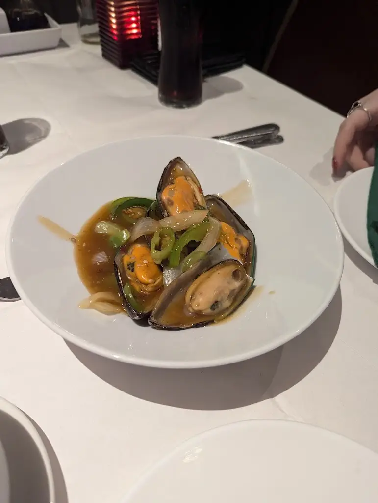 Josh C_Jade Dragon_Pudsey_review