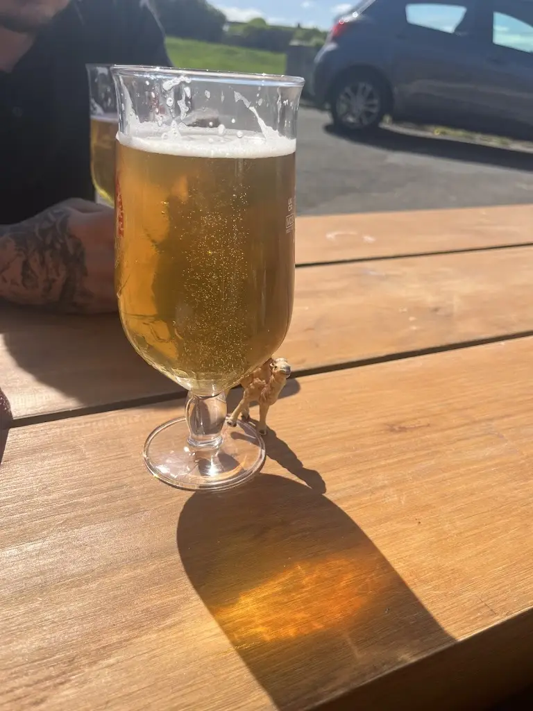 Bethany Murray_The Boathouse and Terrace, Redcar_Redcar and Cleveland_avis