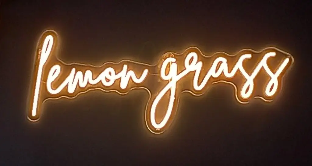 Roger McCauley-Smith_Lemon Grass Thai Cuisine_Redcar_review