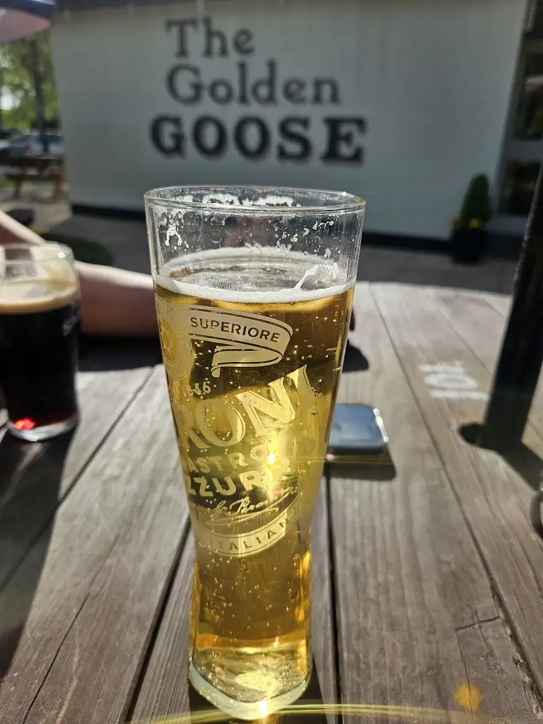 L Tkay_The Golden Goose_Redditch_review