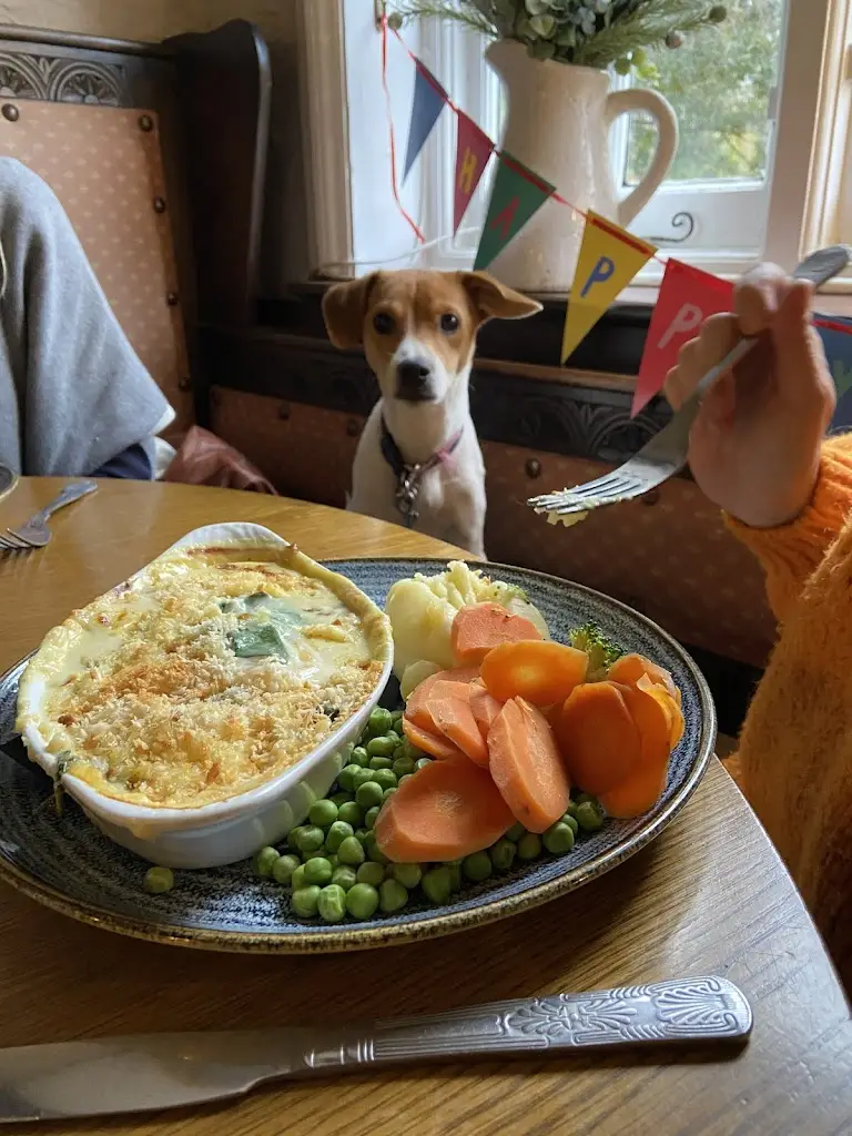 Menu_The Cock Inn_Ringmer_image_9