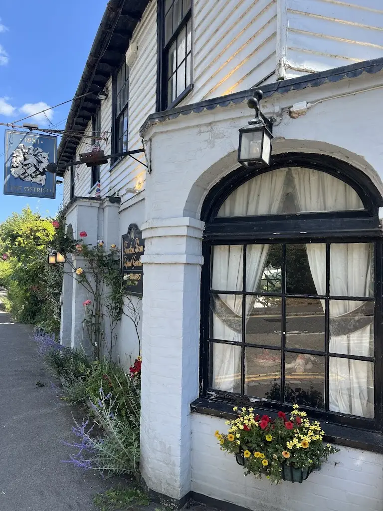 Amanda Dyer_Ostrich Hotel_Robertsbridge_Bewertung