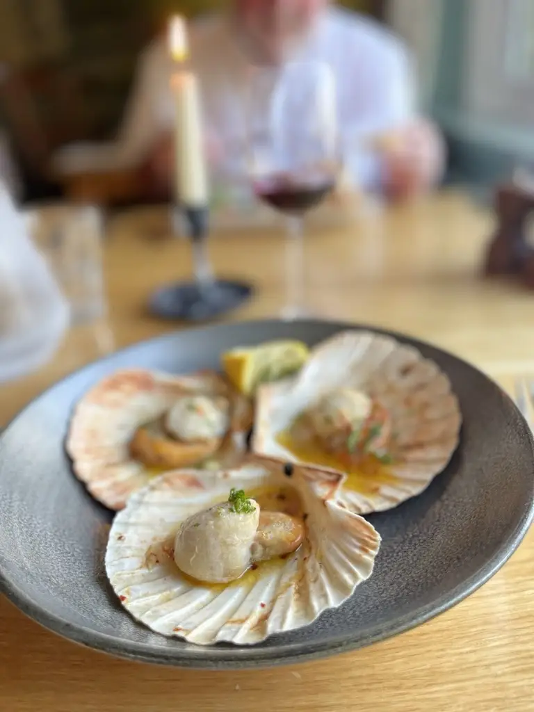 Menu_The White Dog Inn_Robertsbridge_immagine_9