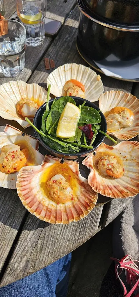 Jon Ferdinand_The White Dog Inn_Robertsbridge_recensione