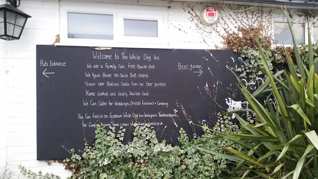 DESISLAVA DENKOVA-WADE_The White Dog Inn_Robertsbridge_recensione