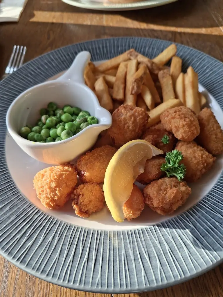 Donna Marshal_The Jovial Sailor Ripley_Ripley_review