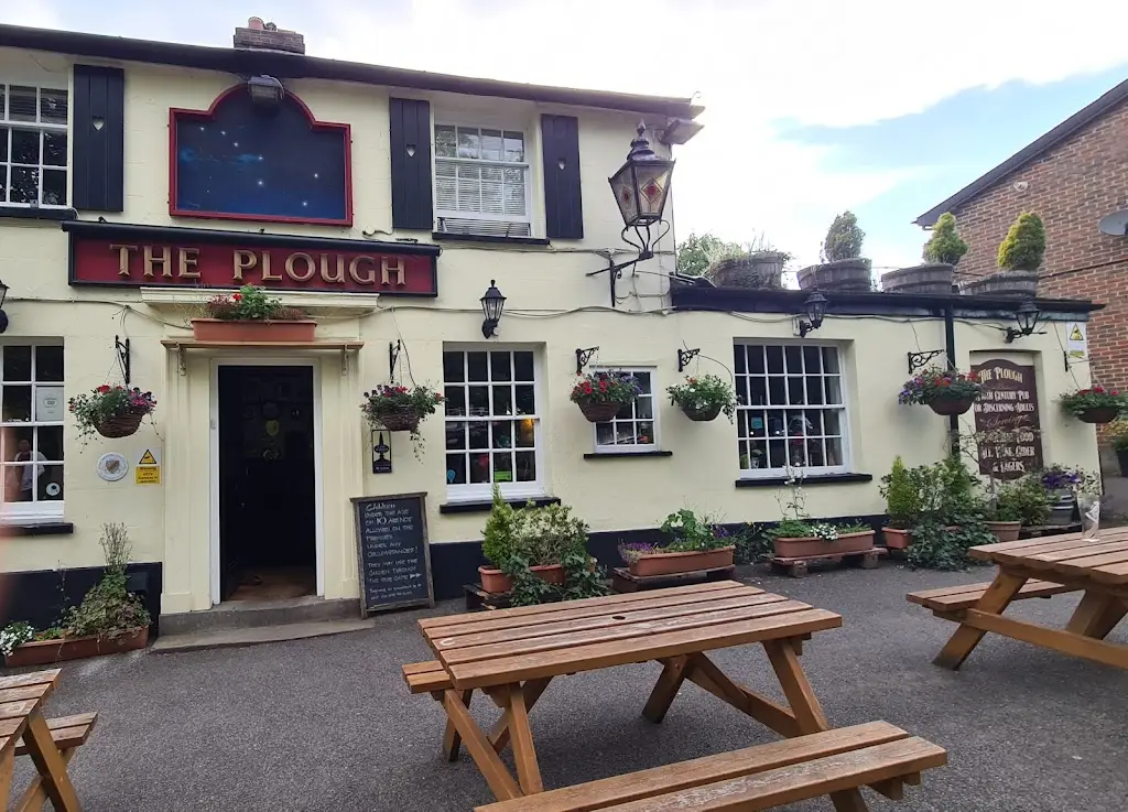 James Hisole_The Plough_Redhill_review