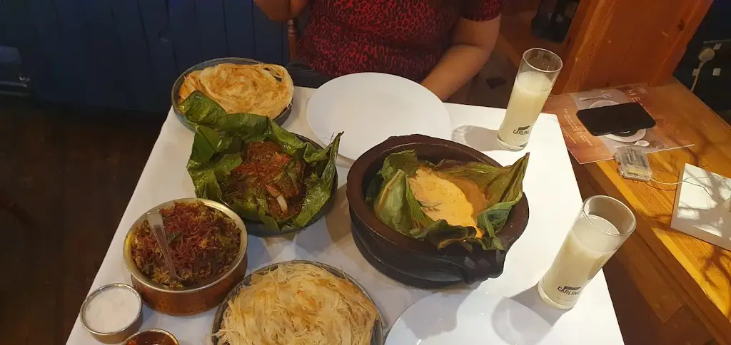 Aditi Kumari_The Joshua Tree_Redhill_review