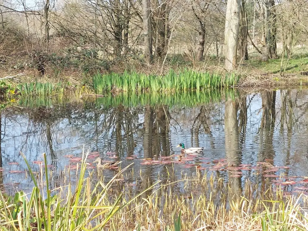 Sasha Jeffrey_Inn on the Pond_Redhill_review