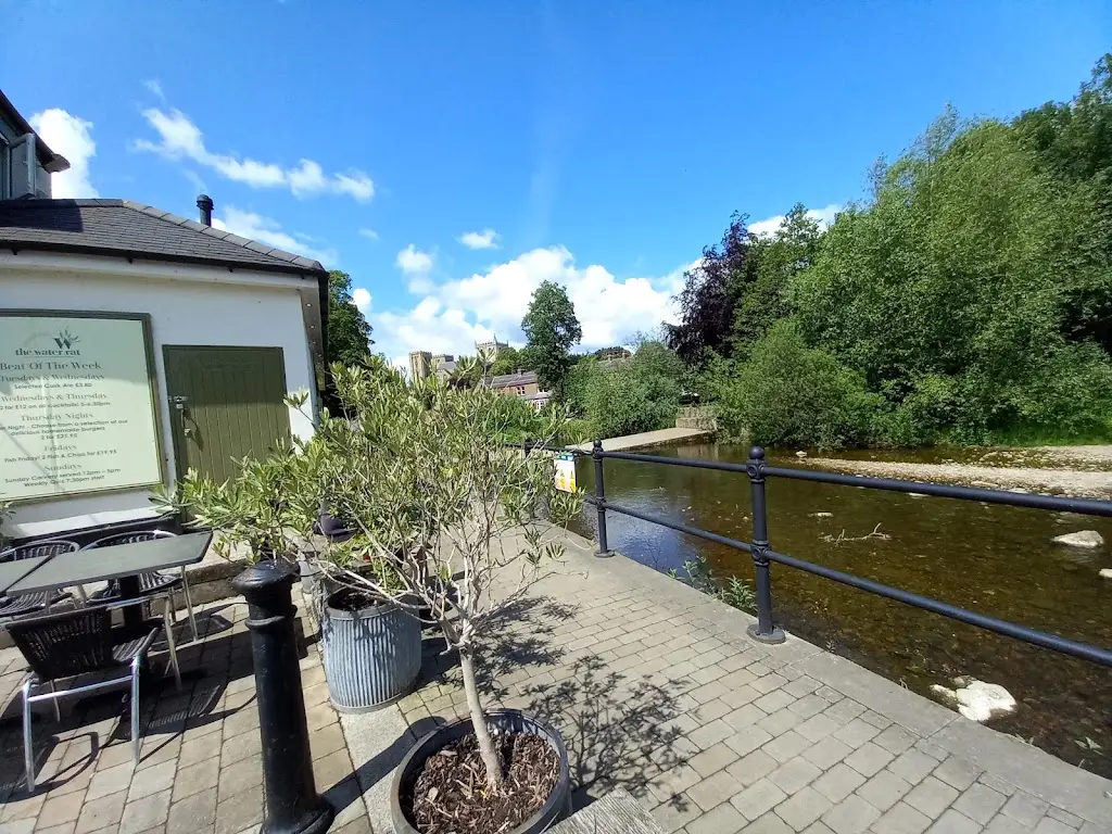 Alison Billing_The Water Rat_Ripon_review