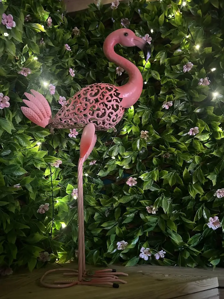 ZIGGY G_Bella Vita & Funky Flamingo Romsey_Romsey_review