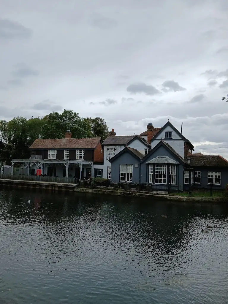 trevor harvey_The Fish And Eels_Roydon_review