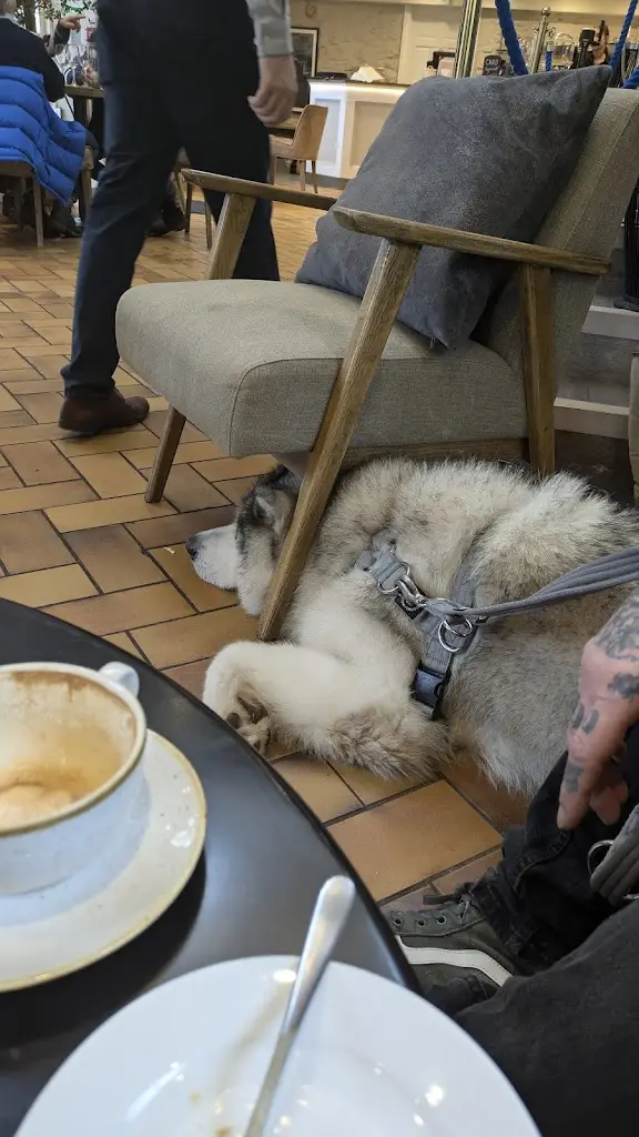 Menu_The Pavilion - Ross-on-Wye_Ross on Wye_immagine_4