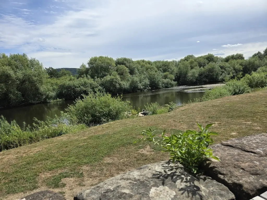 Simon Gawne_The White Lion_Ross on Wye_review