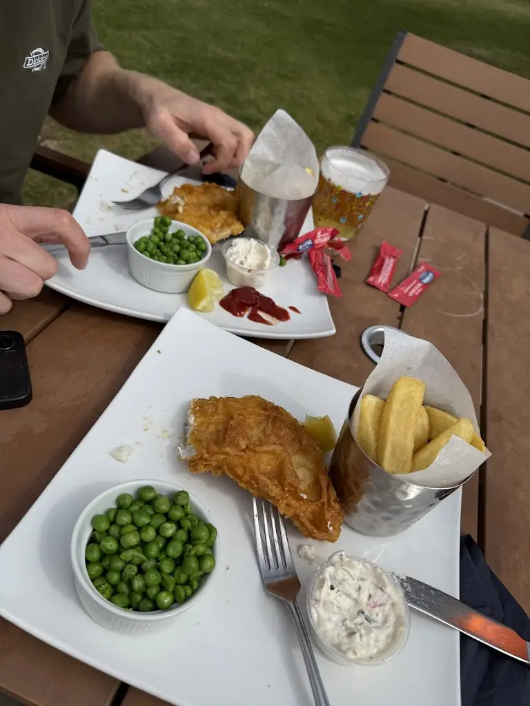 Sofia Barrera_Wooden Fender_Rowhedge_review