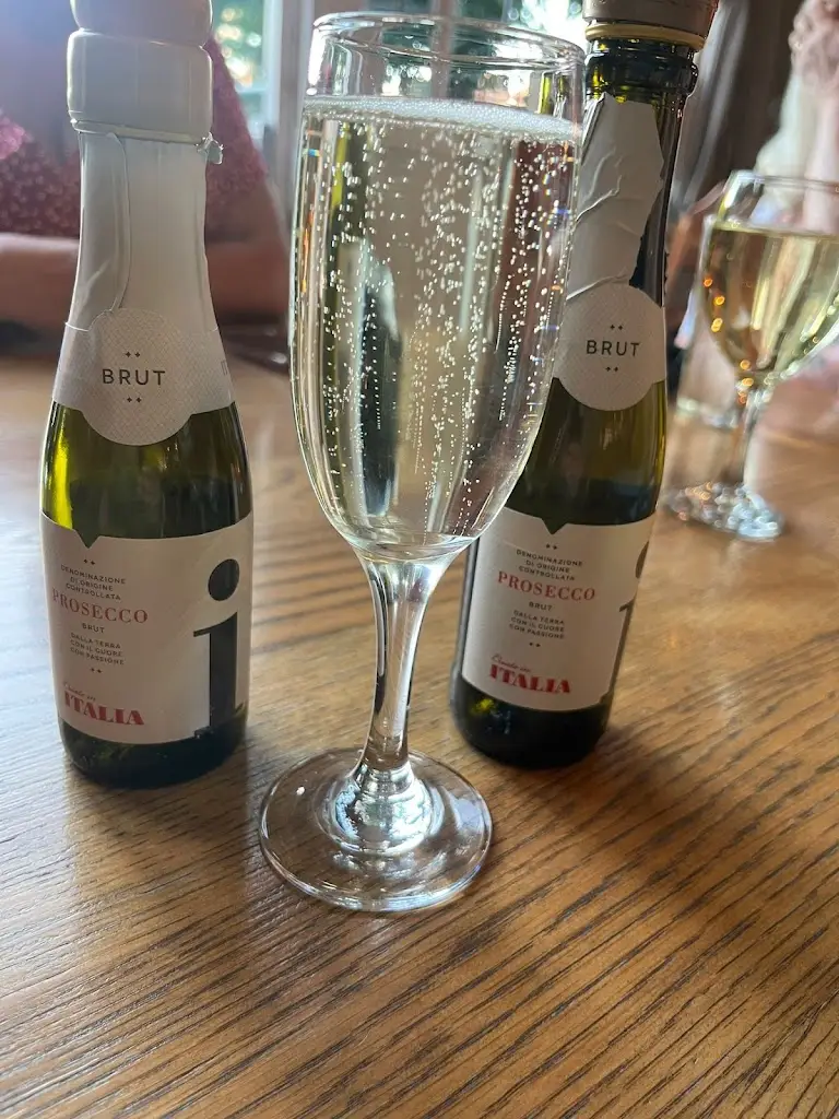 Hayley Stewart_The Fox_Basford_review