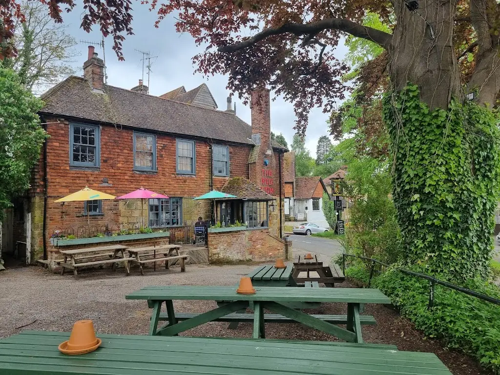 S Patel_Red Lion_Rusthall_reseña