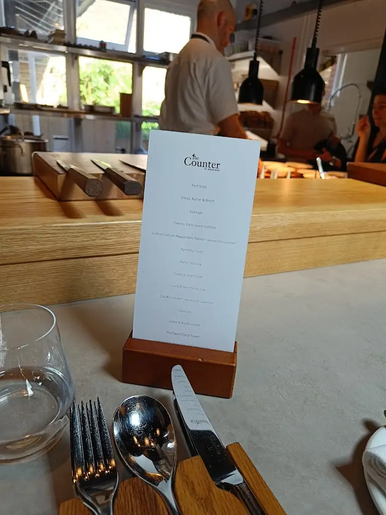 Michael Bailey_The Counter by Robin Read_Rusthall_review