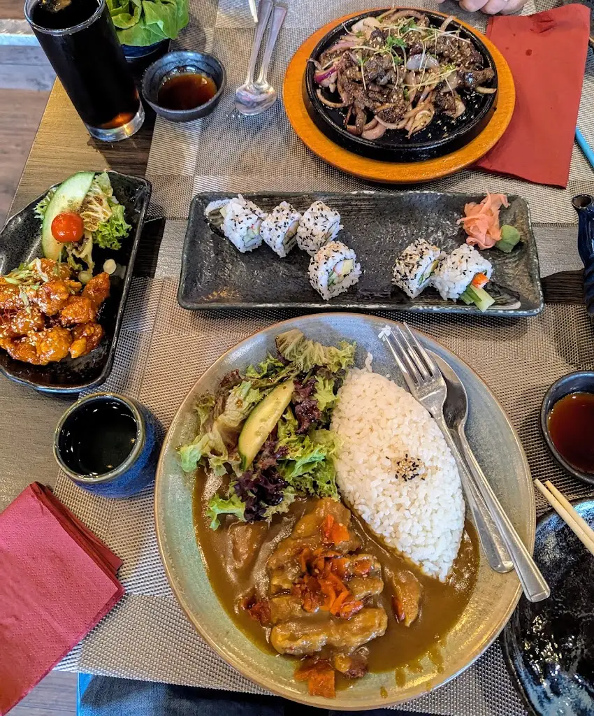 Ross Leech_Hayashi Japanese Restaurant_Royal Leamington Spa_review