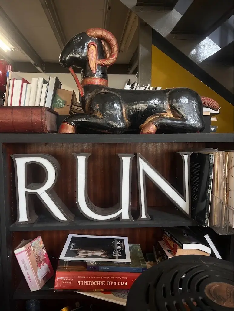 Clare Newsam_Reel_Saint Leonards-on-Sea_review