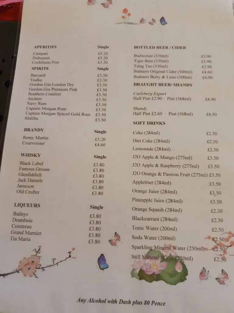 emma mundy_New Garden Chinese Restaurant_Saint Columb Major_review