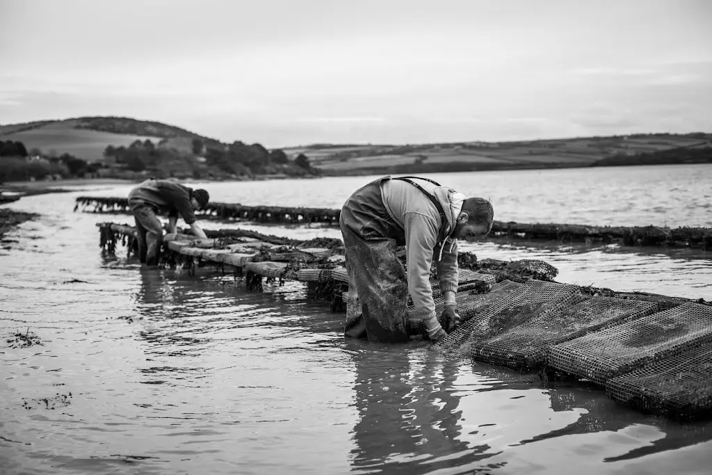 Flying Fish Seafoods restaurant in Saint Columb Major