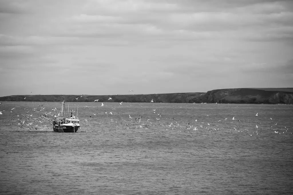 Flying Fish Seafoods_Saint Columb Major_slider_image_2