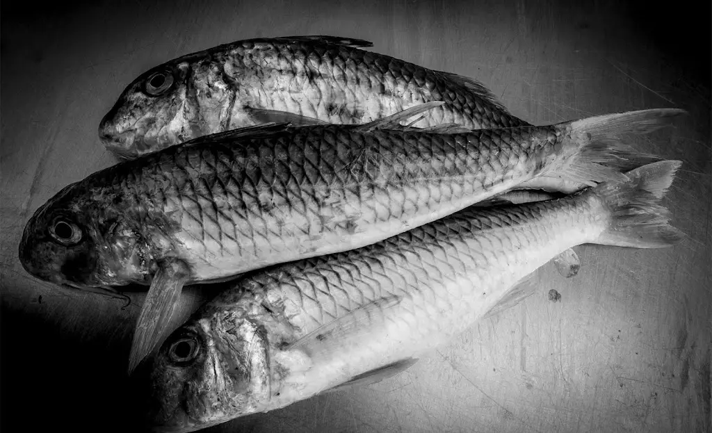 Flying Fish Seafoods_Saint Columb Major_slider_image_3