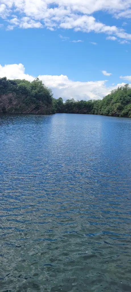 Amy Clackson_Nemo's Bar & Restaurant at Stoney Cove_Sapcote_review