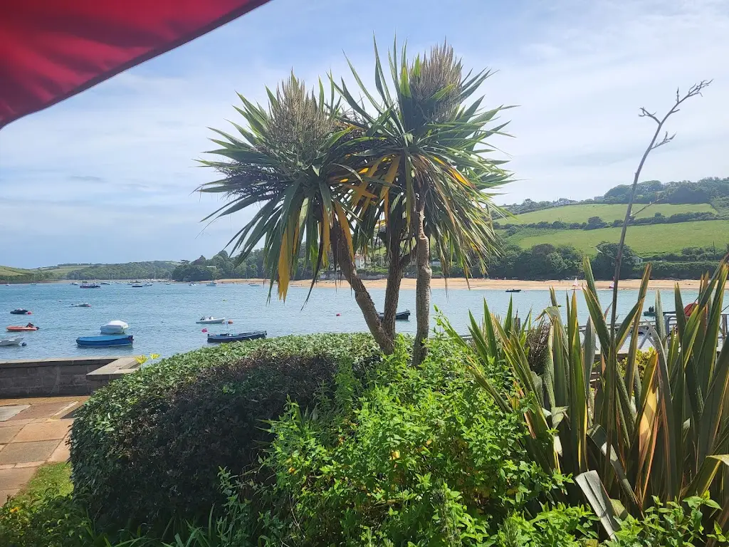 David Cockshoot_dickandwills_Salcombe_review