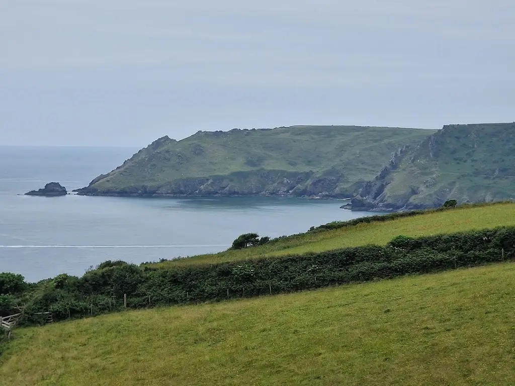 Matt Jackson_The Restaurant at Gara Rock_Salcombe_review