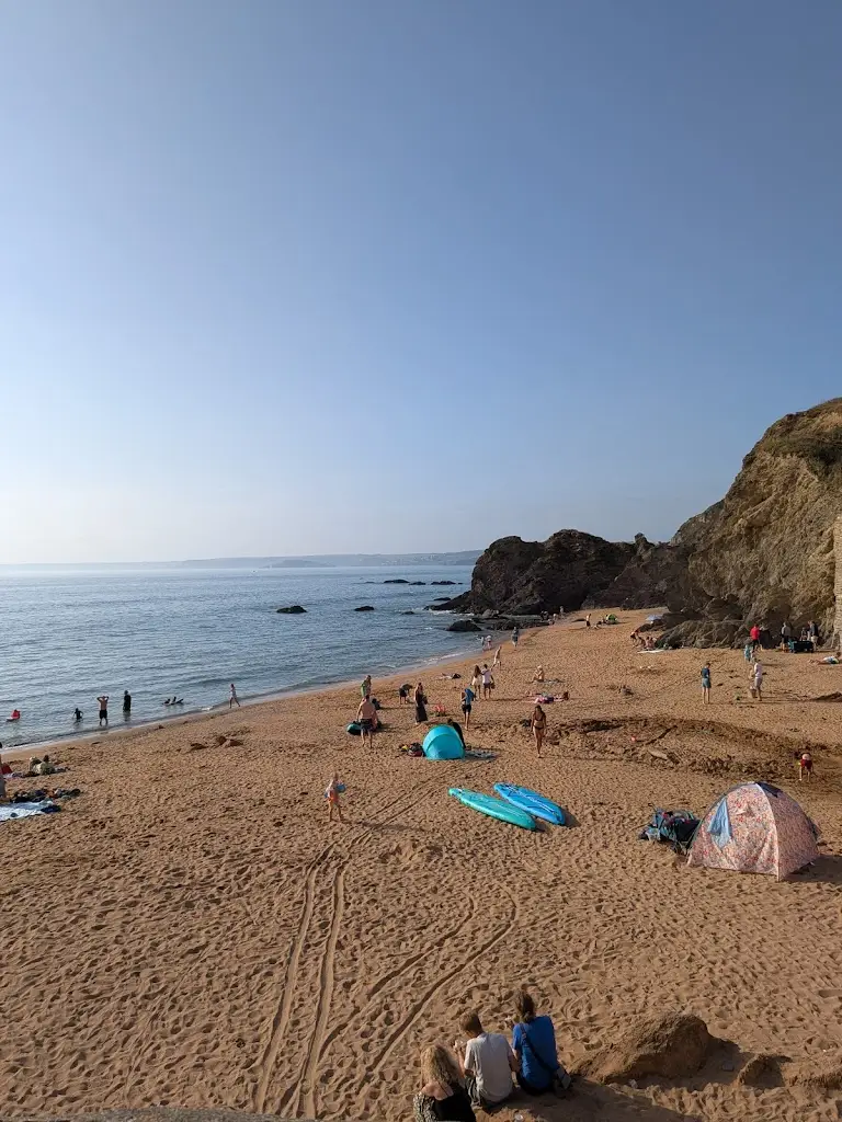 Dean Fletcher_The Cove_Salcombe_review