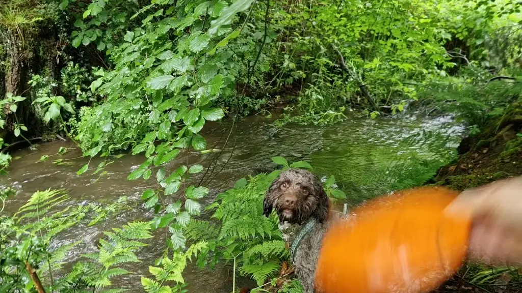 Simon Swarbrick_Applestore Cafe_Scorton_review