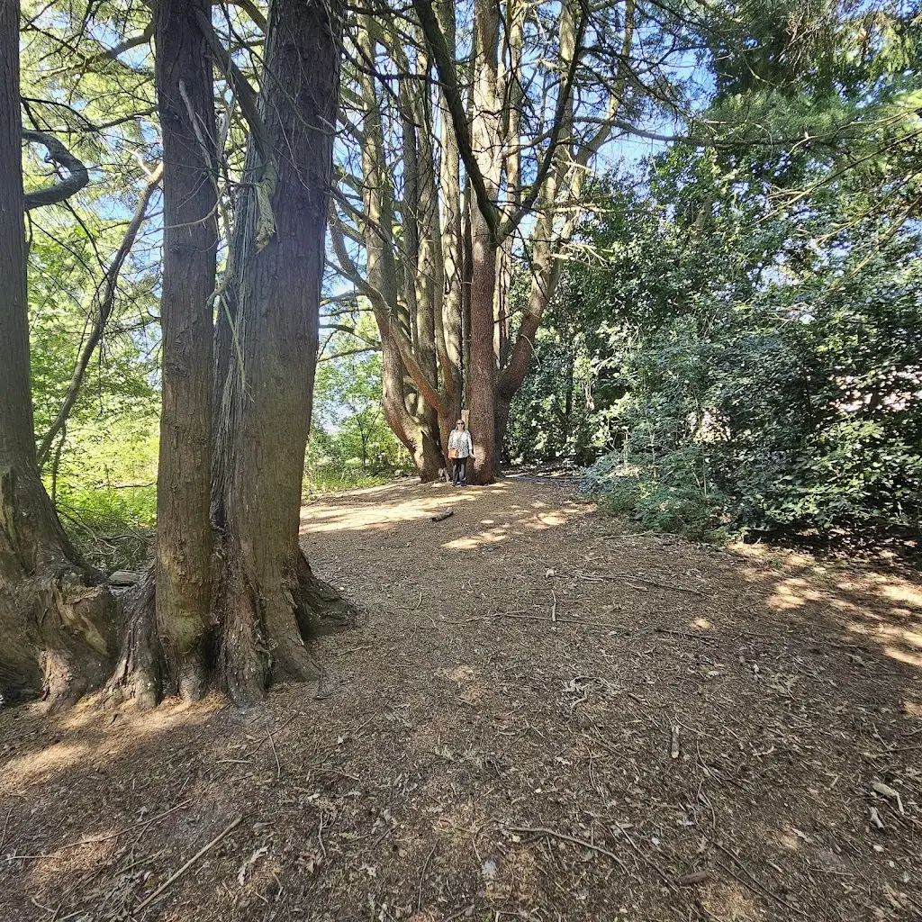 Steve Cleary_Applestore Cafe_Scorton_review