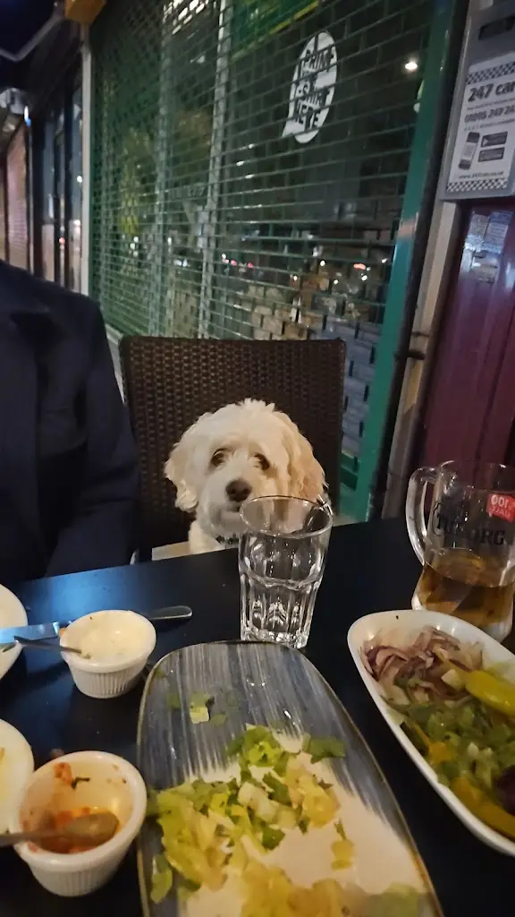 sapna tankaria_Istanbul Meze Grill_Ruislip_recensione