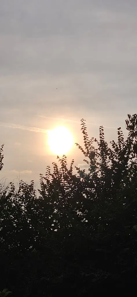 Kay Craigie_The Woodman_Ruislip_review