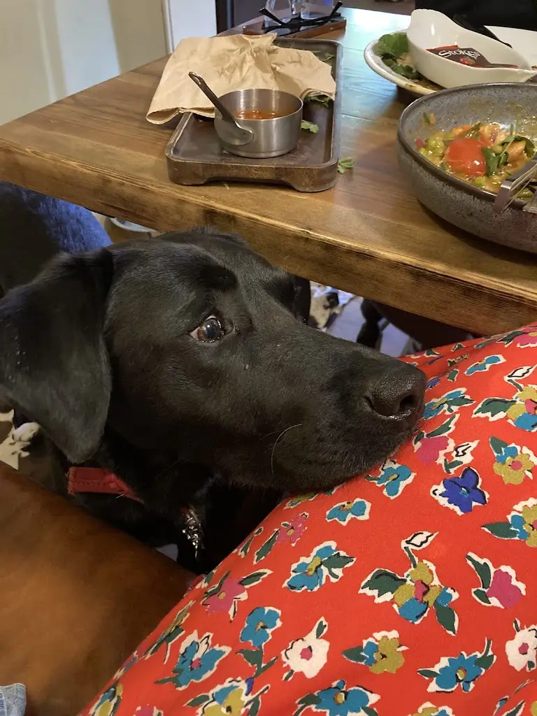 Paul Cherry_The Rendham White Horse_Saxmundham_review