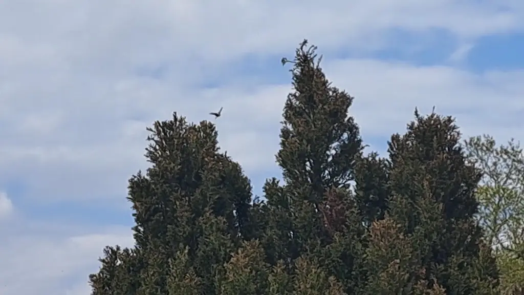 Redwings Lodge Sawtry restaurant in Sawtry