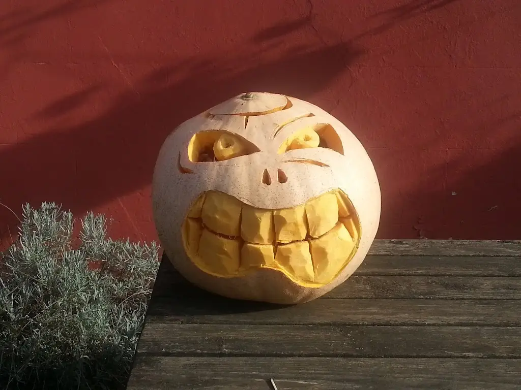 Menu_Fleur De Lys_Saffron Walden_image_7