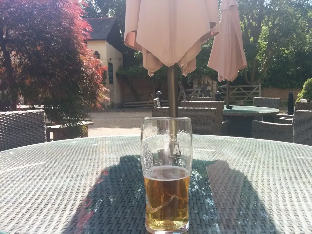 Menu_The Plough Great Chesterford_Saffron Walden_image_5