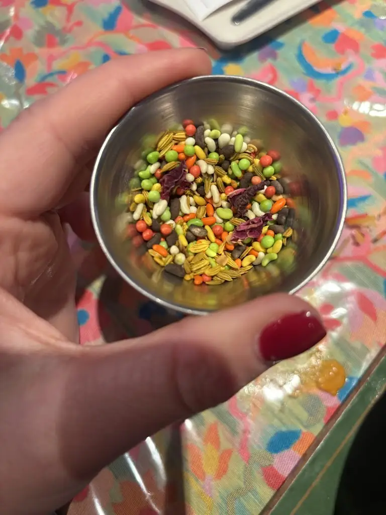 Tori Galloso May_Dosa Paratha Corner_Saffron Walden_review