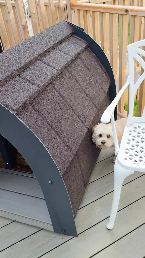 The Kellbank ristorante a Seascale