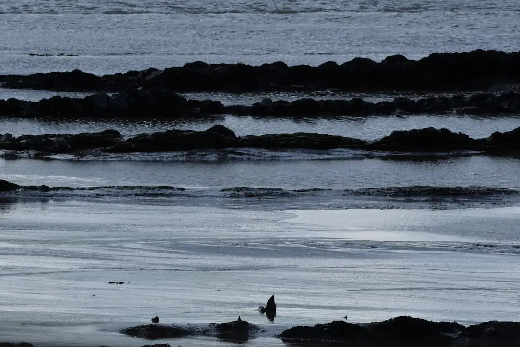 Neil Wilson_Sharpness Marina_Sharpness_recensione