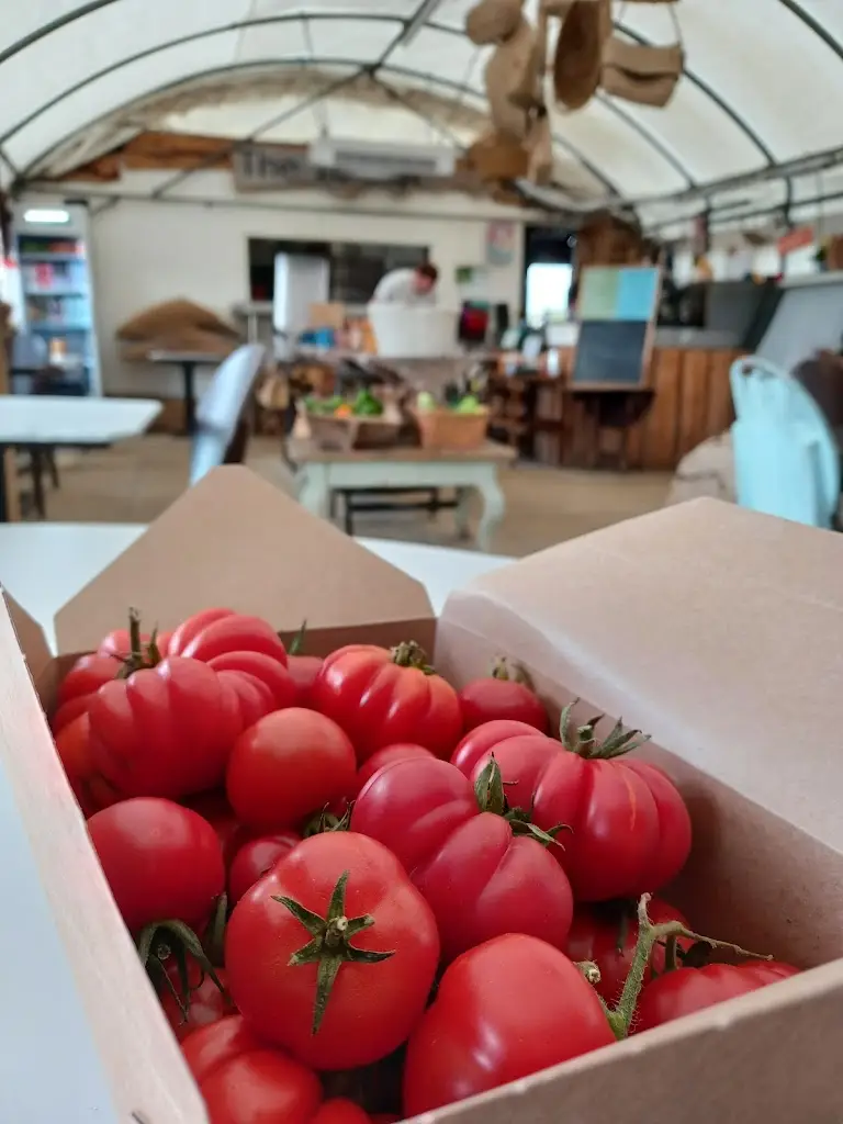 Menü_The Ionian Wood Fired Kitchen ＆ Farmshop_Sharpness_Bild_7