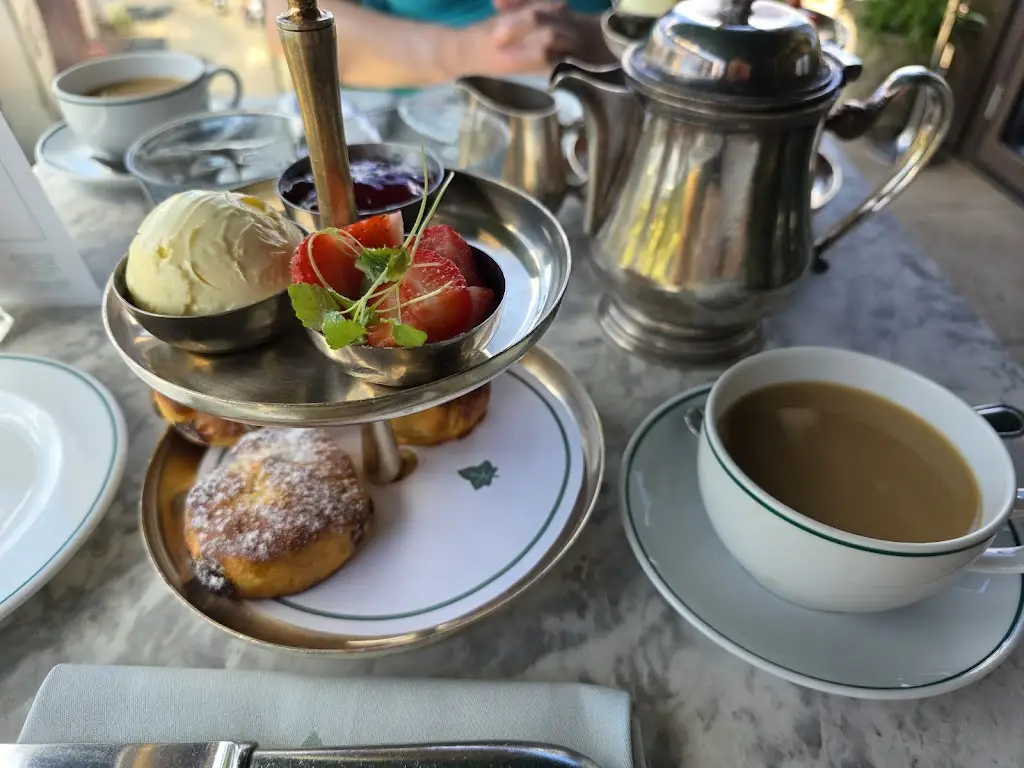 Angel Rogers_The Ivy Castle View_Send_review