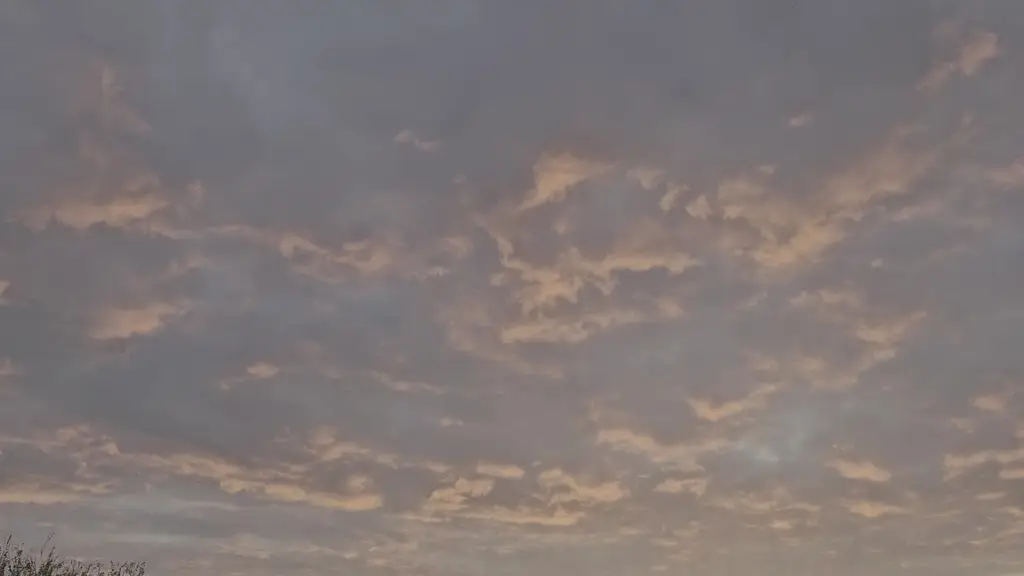 Maggie Clarke_The Crown - Pub - Restaurant - Live Music_Selsey_review