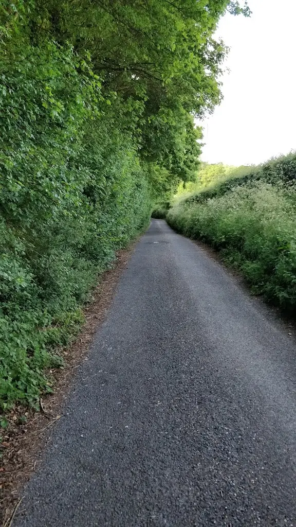 kamesh telikicherla_Sherborne St John Village Hall_Sherborne St John_review