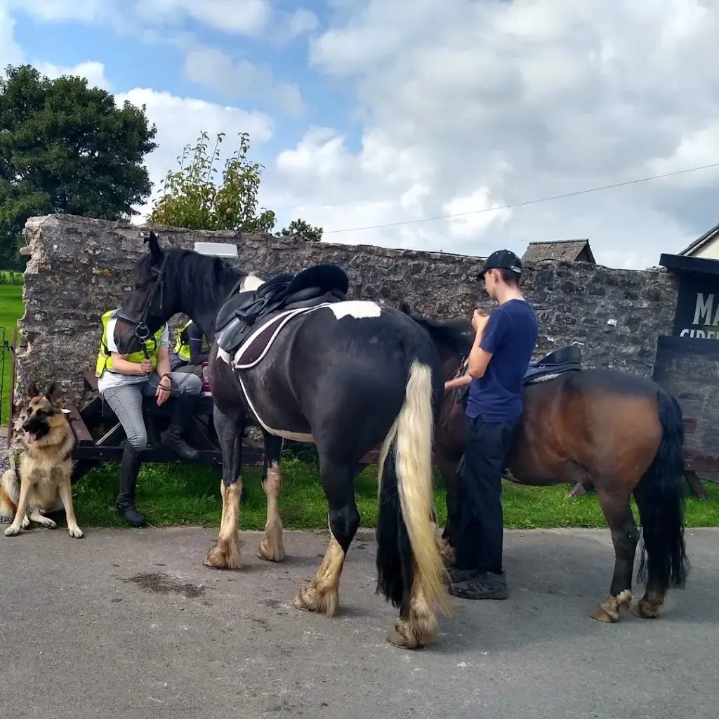 John Waller_Waggon & Horses_Shepton Mallet_reseña
