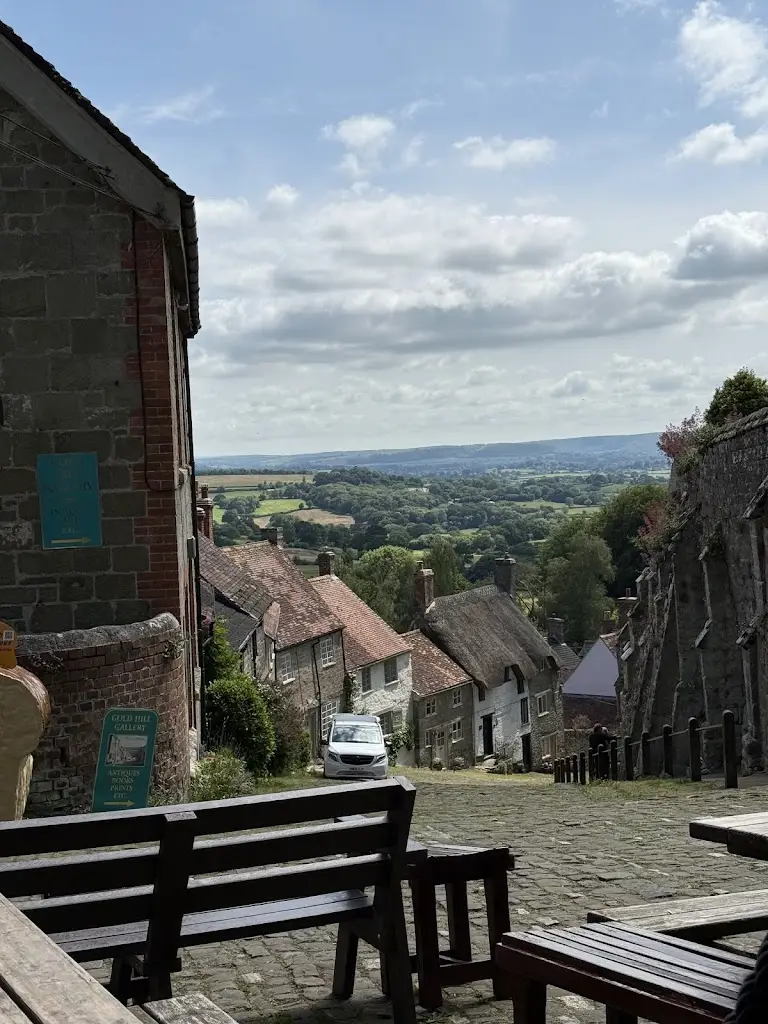 SAM JOY_The Salt Cellar_Shaftesbury_review